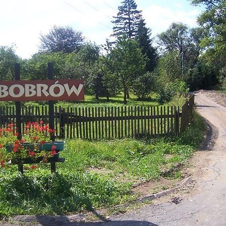 Karpnicka Struga W Dolinie Palacow I Ogrodow Jelenia Góra Εξωτερικό φωτογραφία