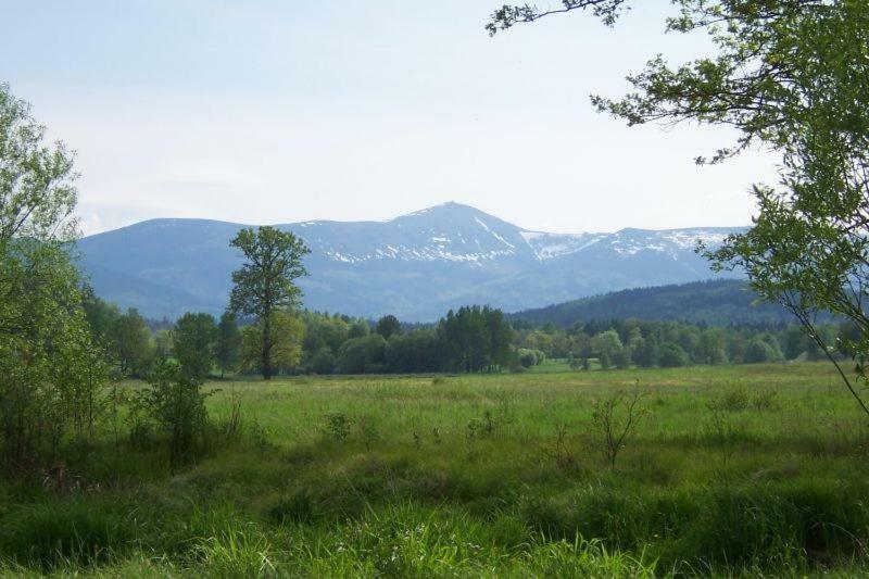 Karpnicka Struga W Dolinie Palacow I Ogrodow Jelenia Góra Εξωτερικό φωτογραφία