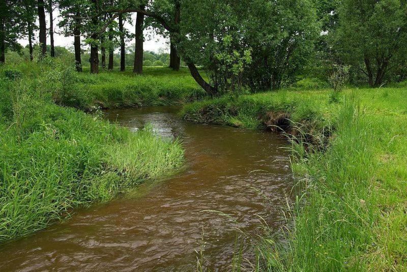 Karpnicka Struga W Dolinie Palacow I Ogrodow Jelenia Góra Εξωτερικό φωτογραφία